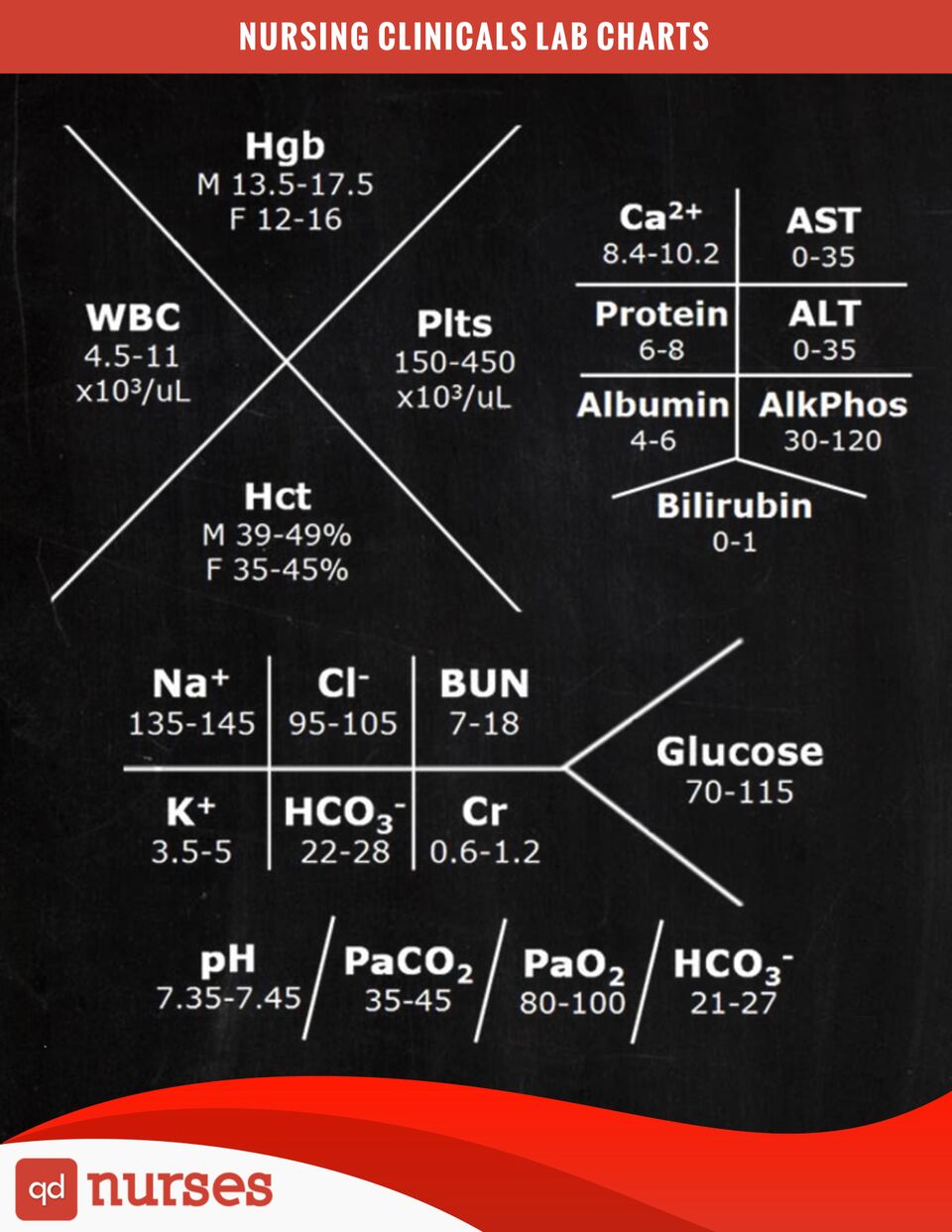 basic-metabolic-panel