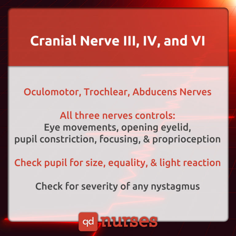 Cranial Nerves Mnemonics To Help You Pass Your Exams QD Nurses