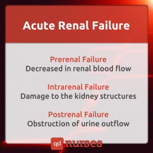 The 3 Phases of Acute Renal Failure Nurses Should Know for the NCLEX ...