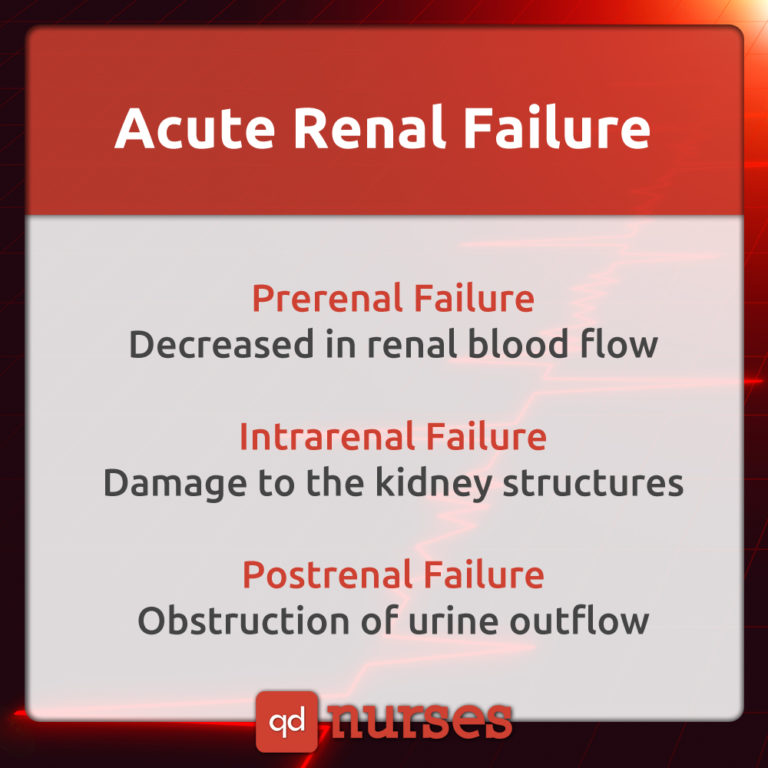 the-3-phases-of-acute-renal-failure-nurses-should-know-for-the-nclex