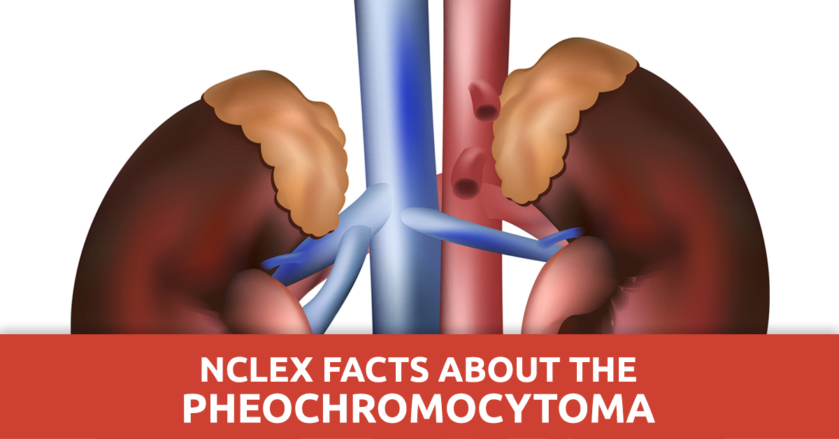 nclex-facts-about-the-pheochromocytoma-qd-nurses