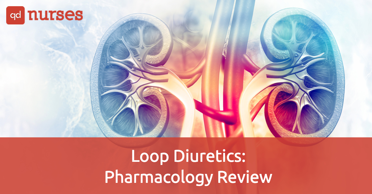 loop-diuretics-pharmacology-review-qd-nurses